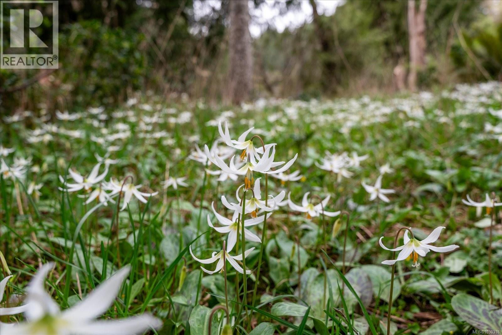 1694 GERRAND RD - 50