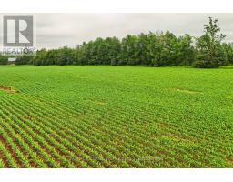 537086 Main St, Melancthon, ON L9V1X6 Photo 8