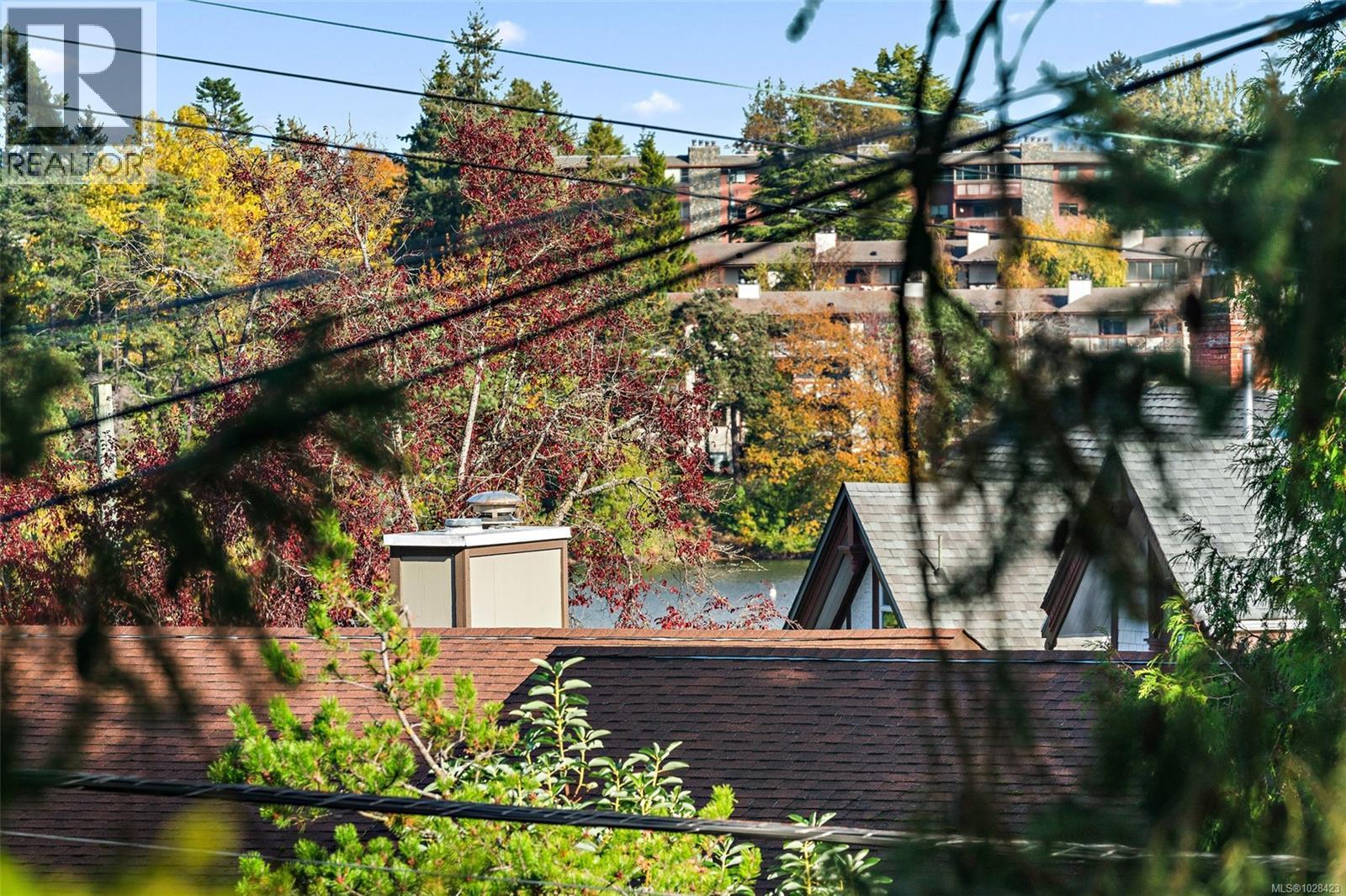 943 Selkirk Ave, Esquimalt