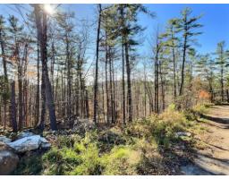 27 Ch. De La Lyrique, Val Des Monts, QC J8N5B3 Photo 7