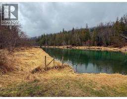 Nixon Road Lot# 83, Appledale, BC V0G2J0 Photo 7