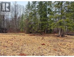 Nixon Road Lot# 83, Appledale, BC V0G2J0 Photo 13