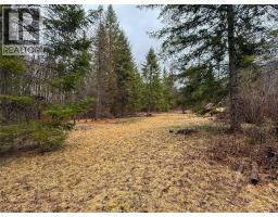 Nixon Road Lot# 83, Appledale, BC V0G2J0 Photo 20