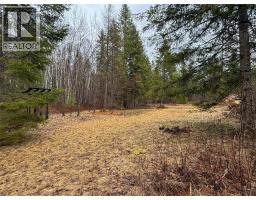 Nixon Road Lot# 83, Appledale, BC V0G2J0 Photo 10