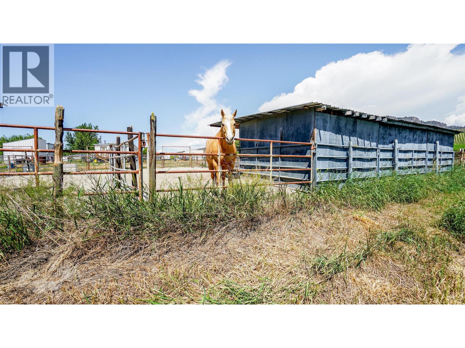 205 GREASEWOOD Avenue, Oliver