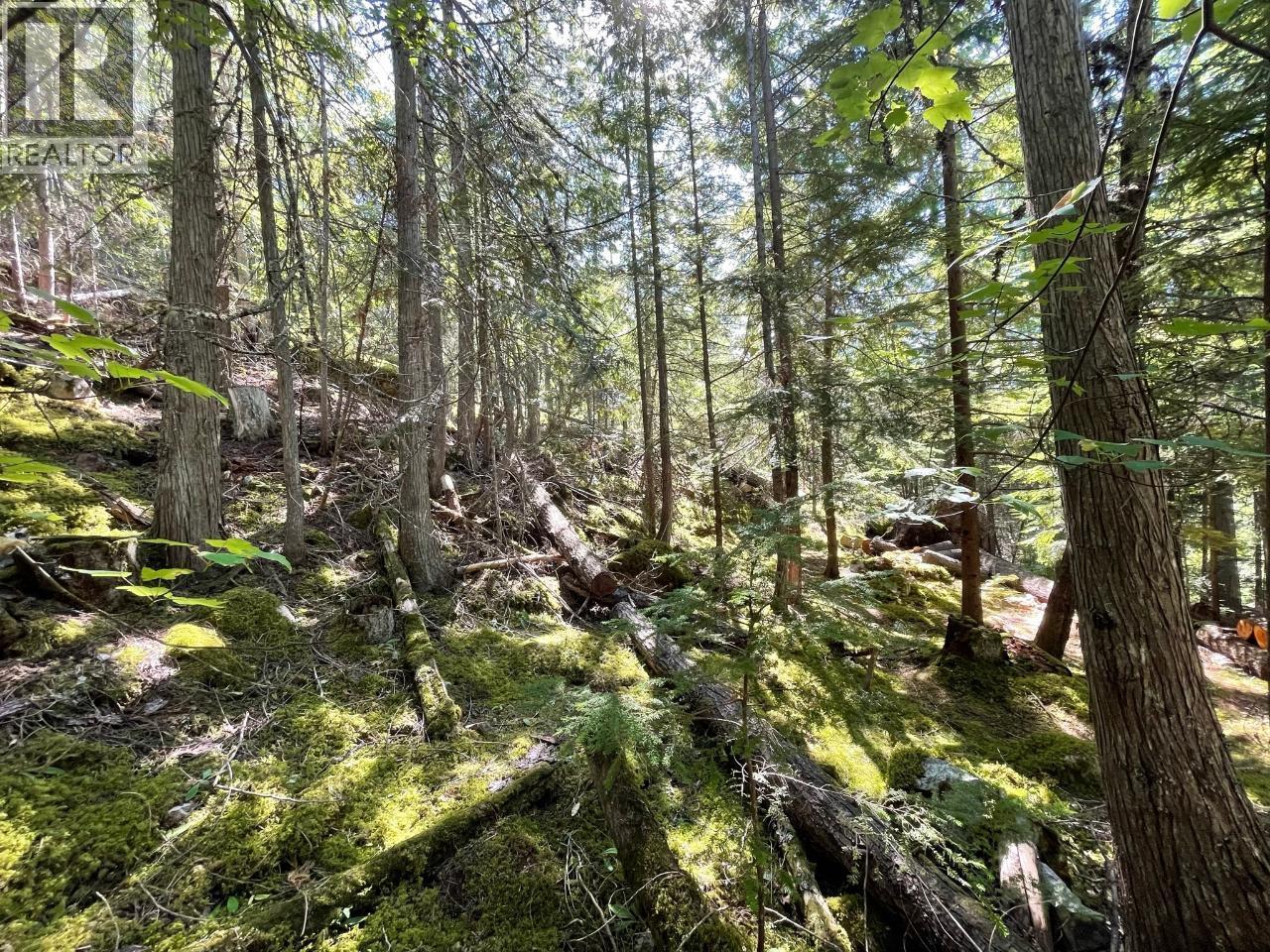 237 RAINBOW RIDGE Road, Procter