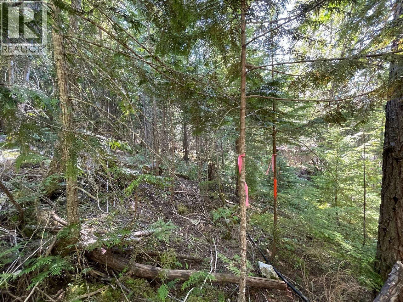 237 RAINBOW RIDGE Road, Procter