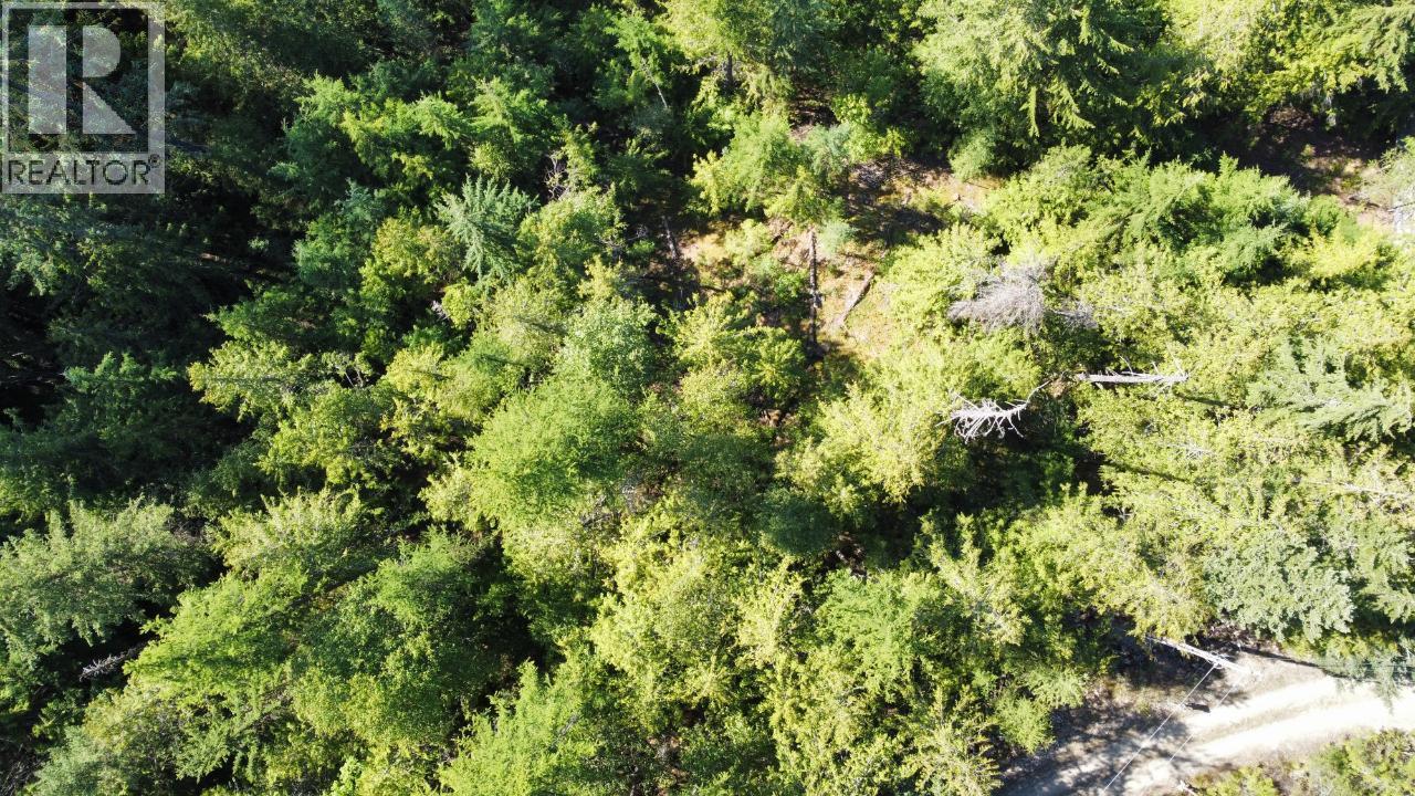 237 RAINBOW RIDGE Road, Procter