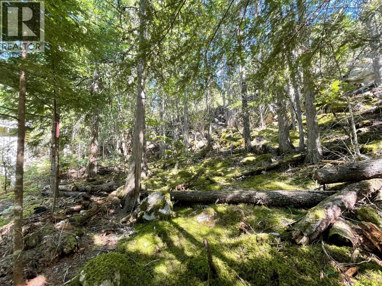 237 RAINBOW RIDGE Road, Procter