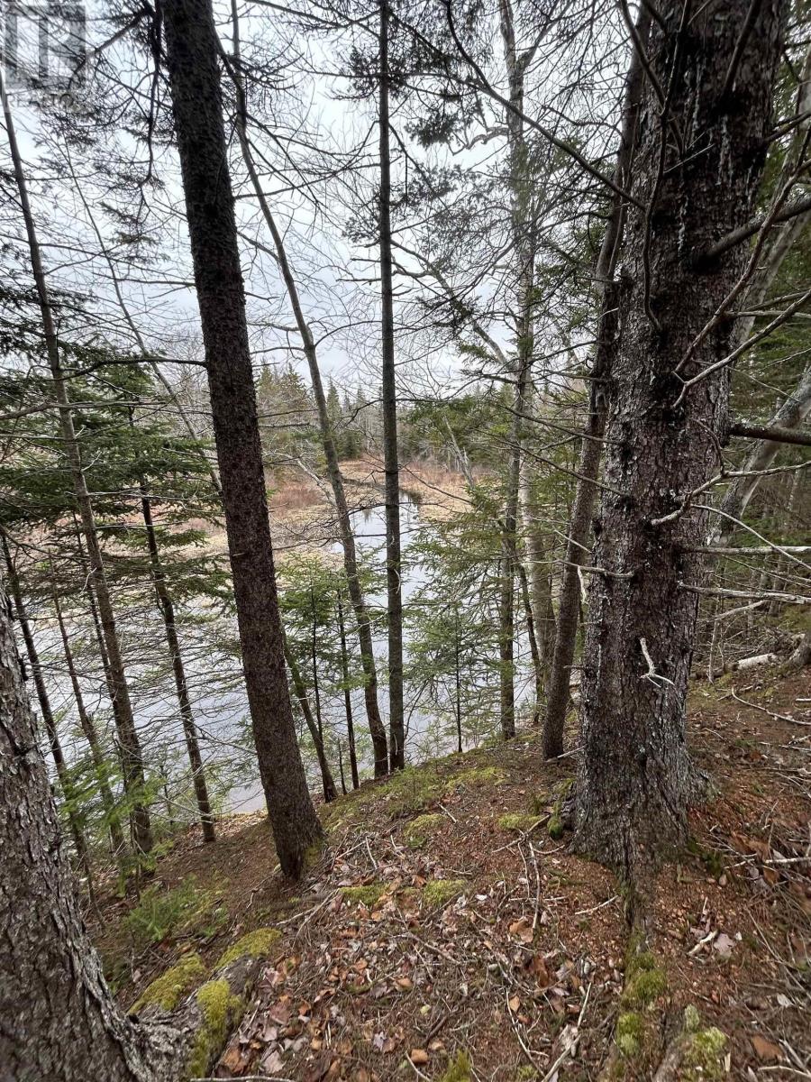 Property 28 of 29 of 115 Bennie Muckle Road