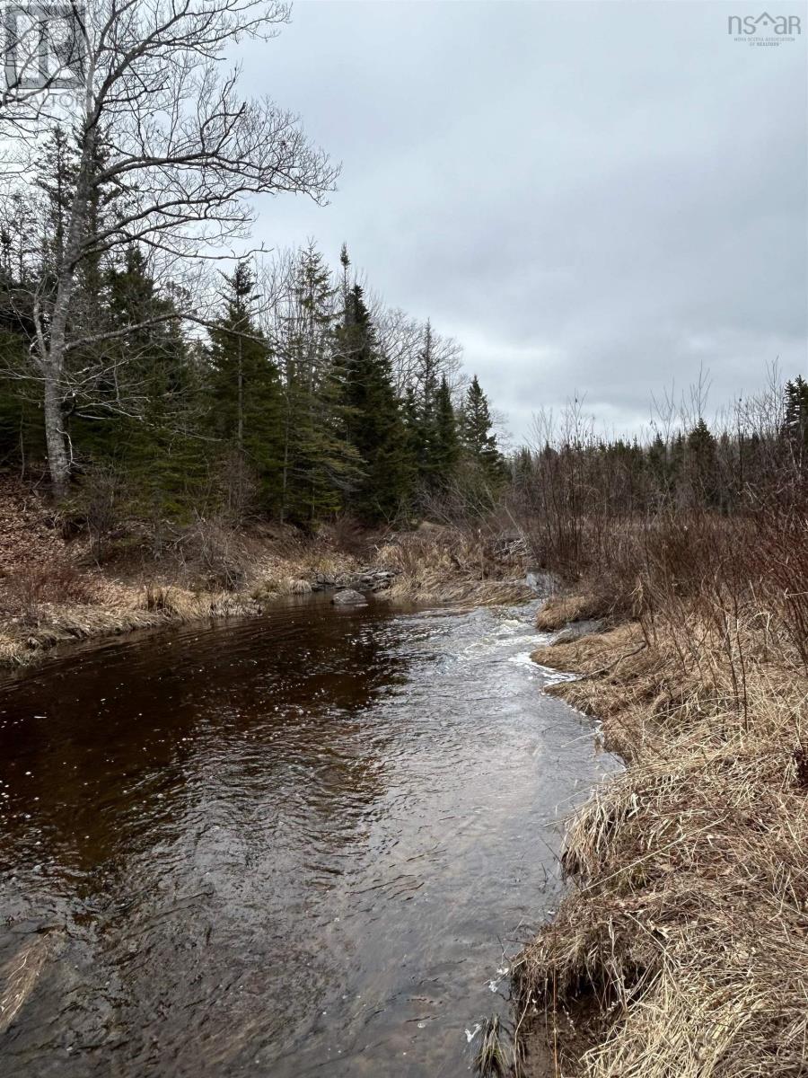 Property 29 of 29 of 115 Bennie Muckle Road