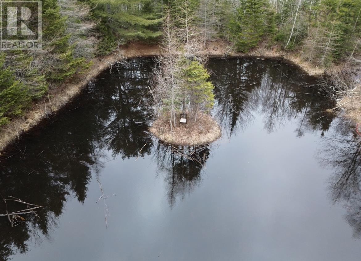 Property 8 of 29 of 115 Bennie Muckle Road