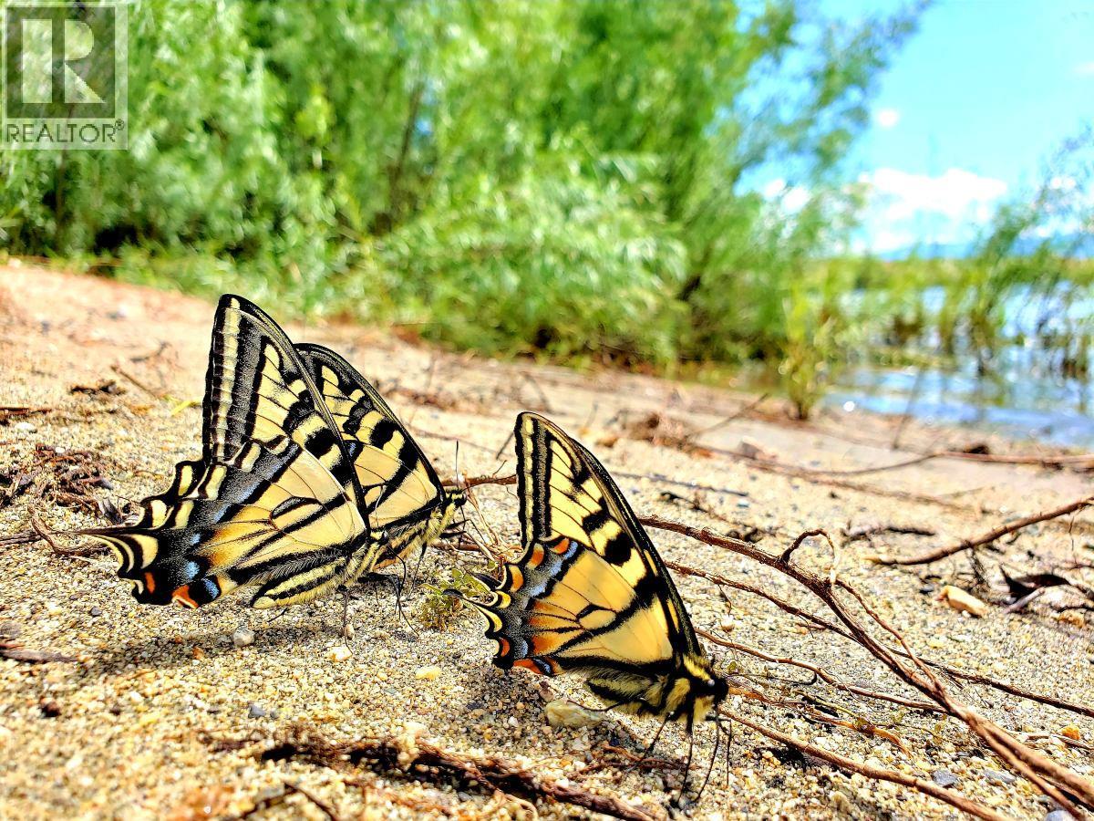 #301 415 COMMONWEALTH ROAD - 17