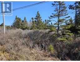 Highway 3, Charlesville, NS B0W2E0 Photo 10