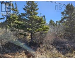 Highway 3, Charlesville, NS B0W2E0 Photo 12