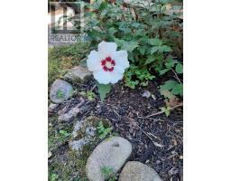 G4 - 85 Theme Park Drive, Wasaga Beach, ON L9Z1X7 Photo 10