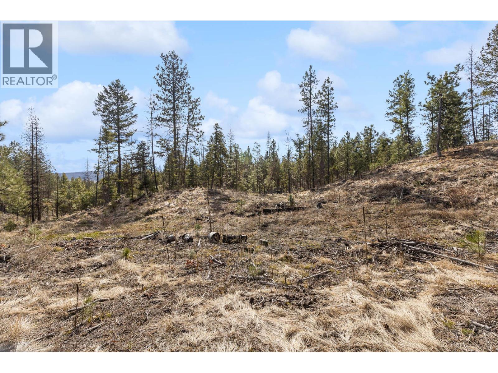 21 Nine Mile Place, Osoyoos