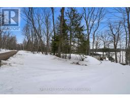 63 Sunnylea Avenue, Armour, ON P0A1L0 Photo 24