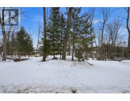 63 Sunnylea Avenue, Armour, ON P0A1L0 Photo 25