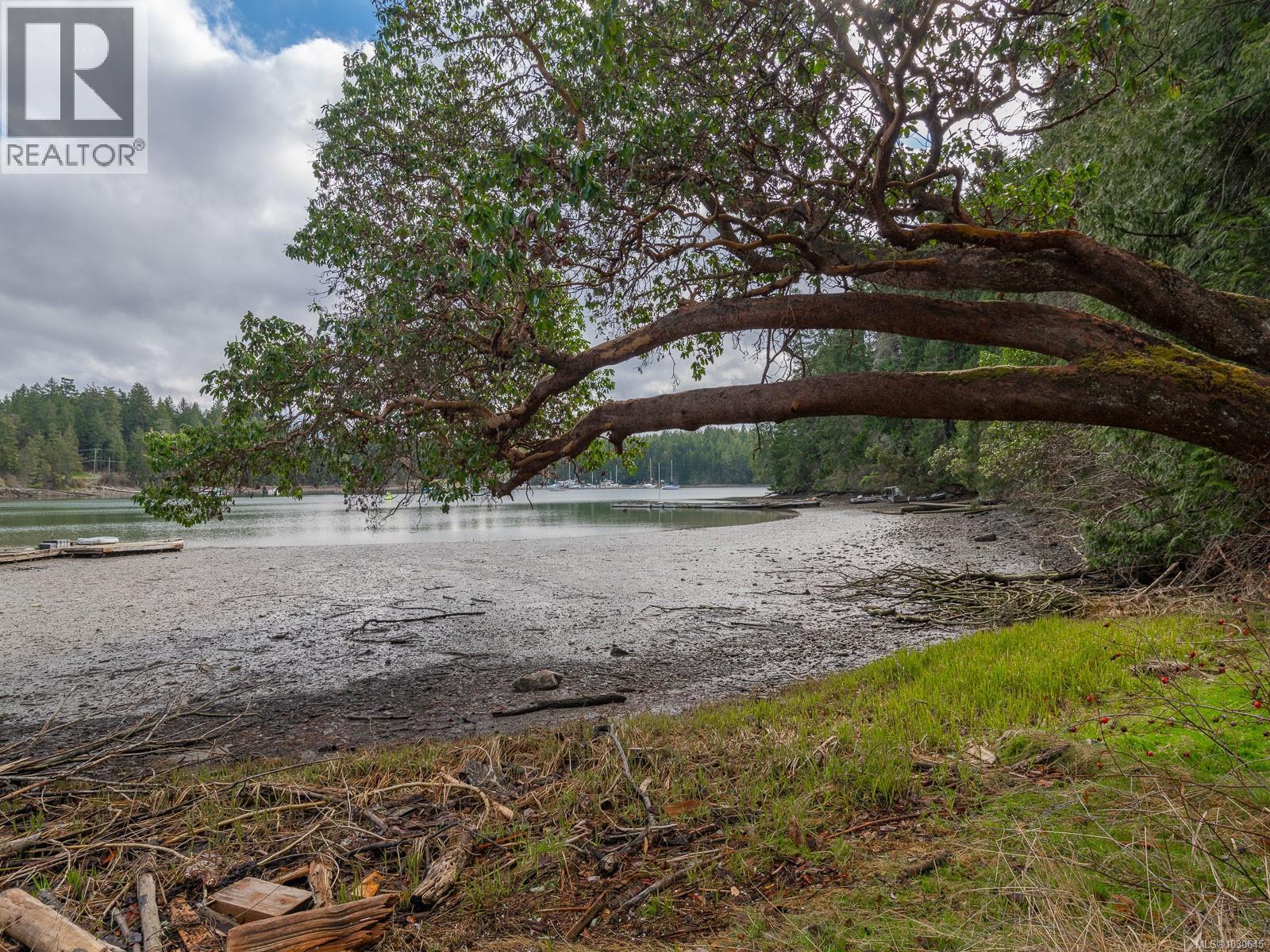 59 PILKEY POINT RD - 36