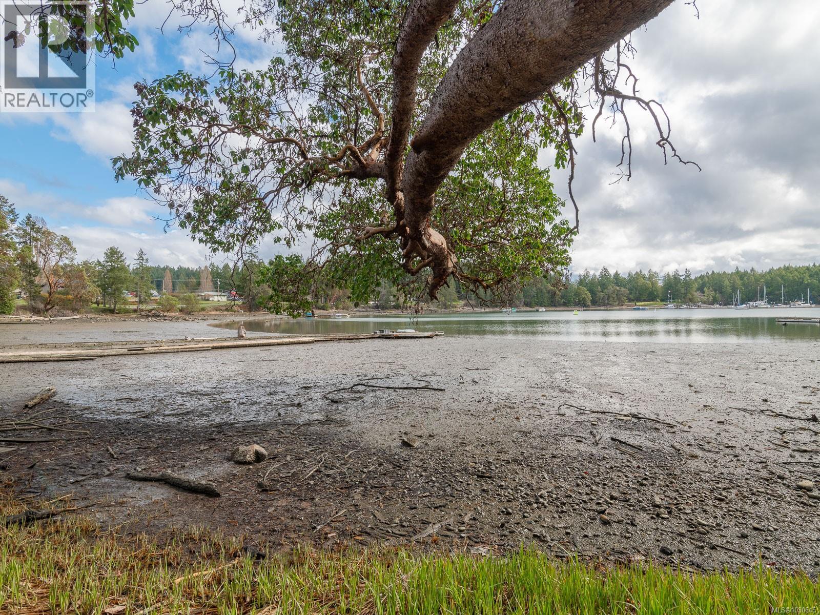 59 PILKEY POINT RD - 38