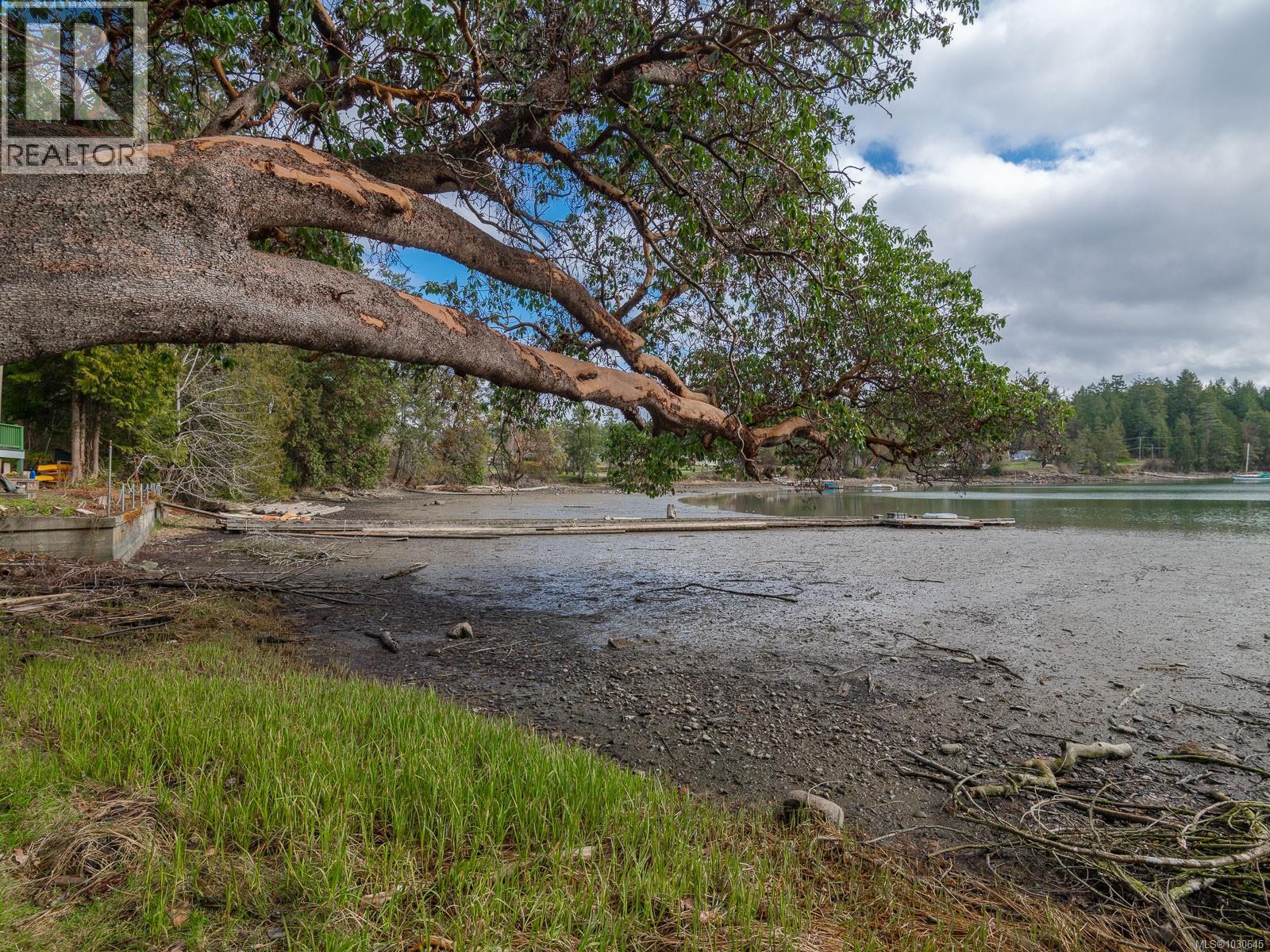 59 PILKEY POINT RD - 39