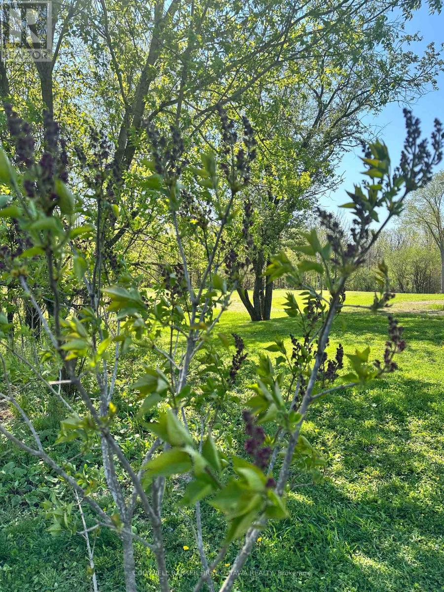 Open spaces surrounded by trees