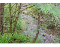 7 19743 Foster Road, Hope, Hope, BC V0X1L2 Photo 20