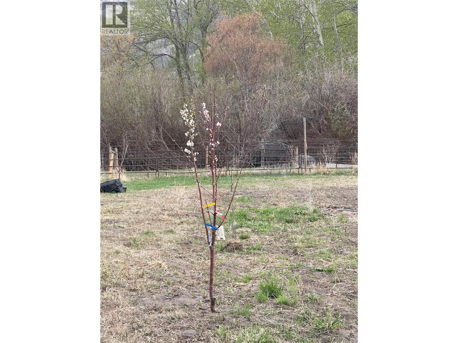 1911 OSPREY LANE - 20