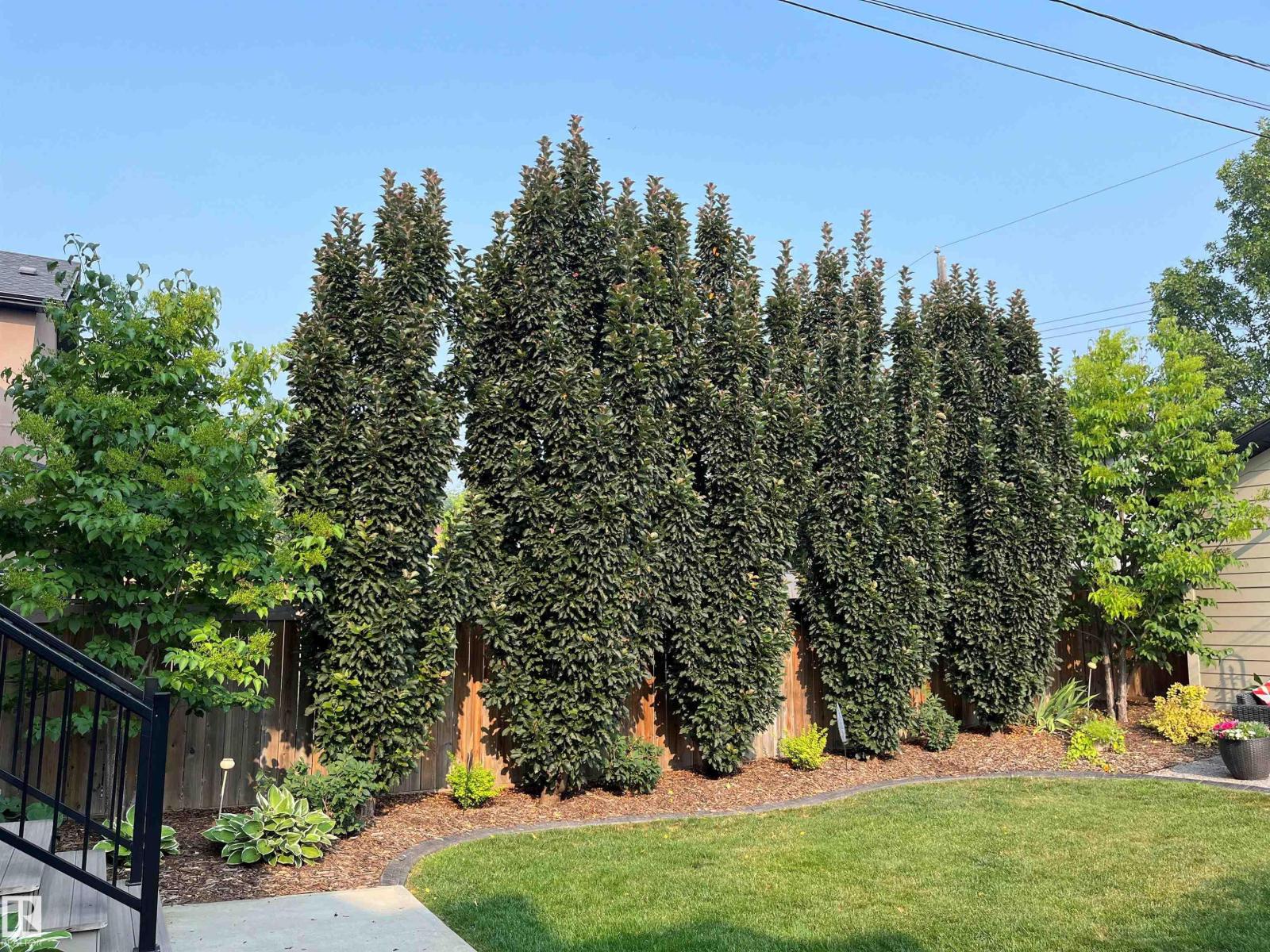 9648 83 AV NW, Edmonton