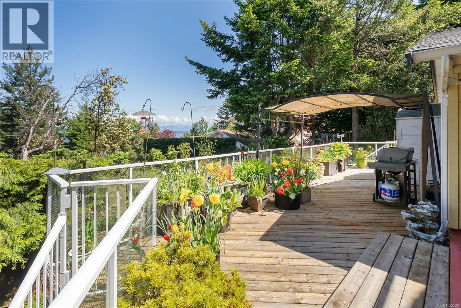 3259 DOLPHIN DR - 21