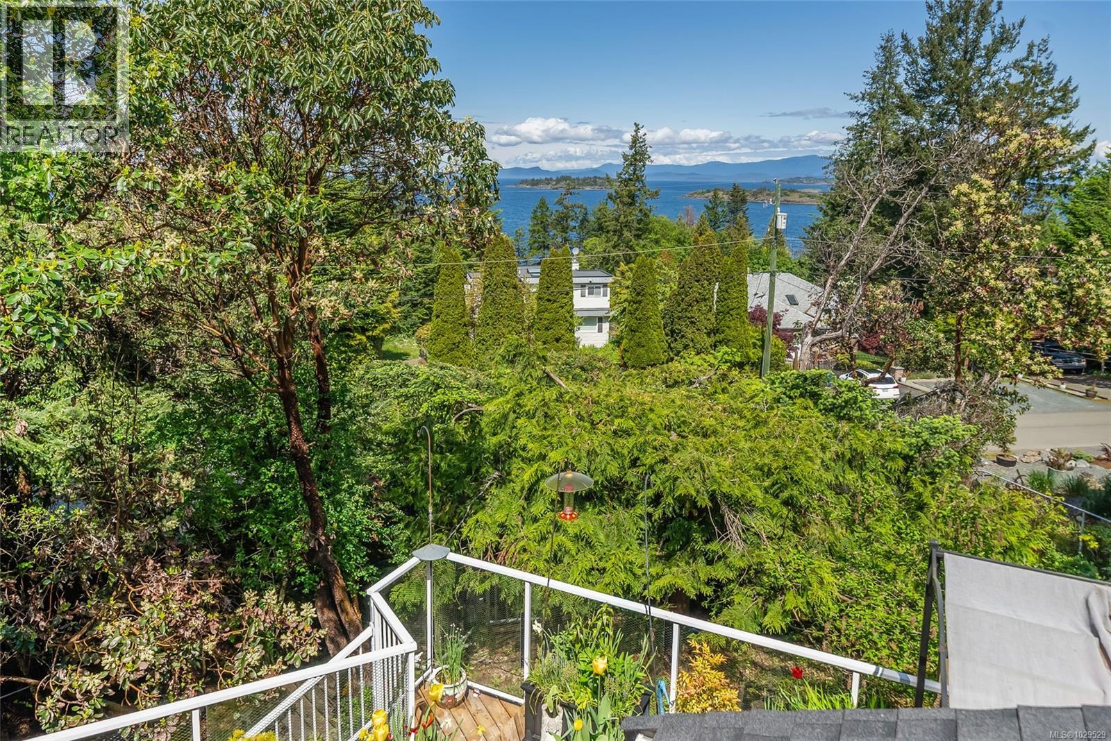 3259 Dolphin Dr - 37
