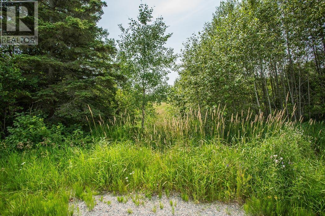 447 McPhail RD, Bruce Mines, Ontario, P0R1C0 — Photo 23