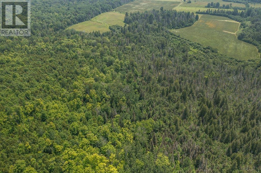 447 McPhail RD, Bruce Mines, Ontario, P0R1C0 — Photo 38