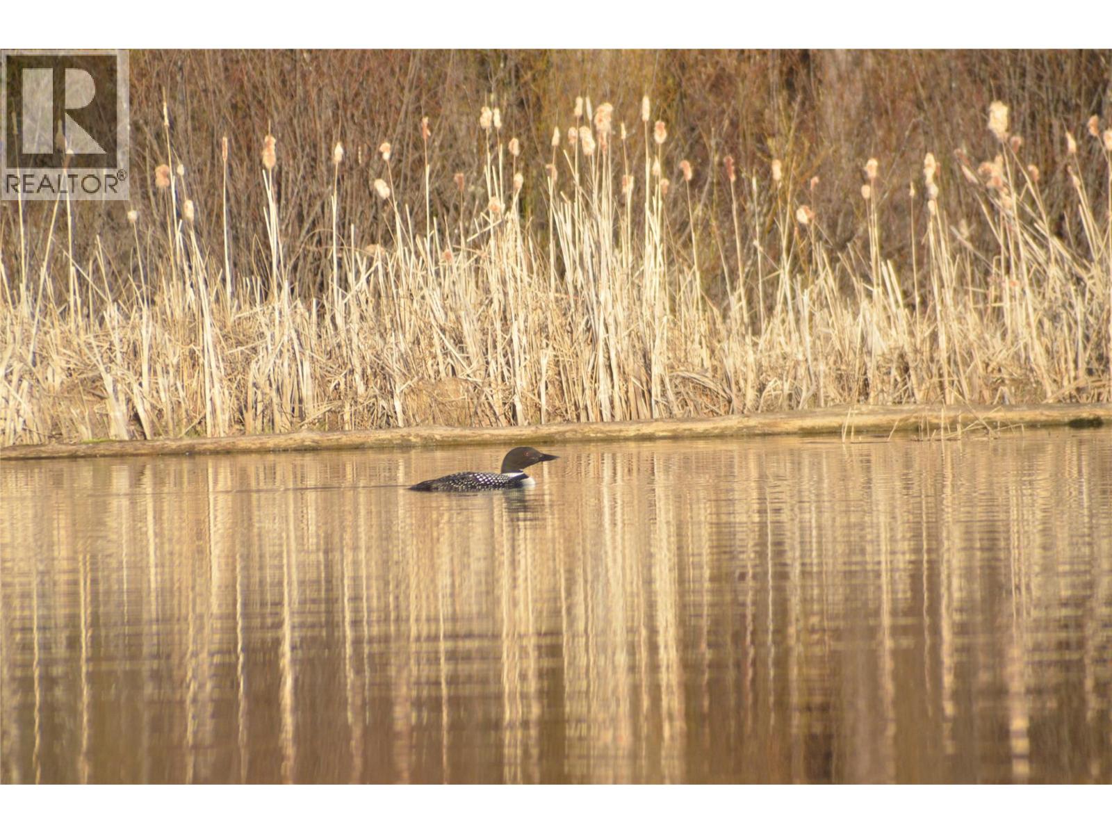  1888 Lakeview Drive, Kamloops