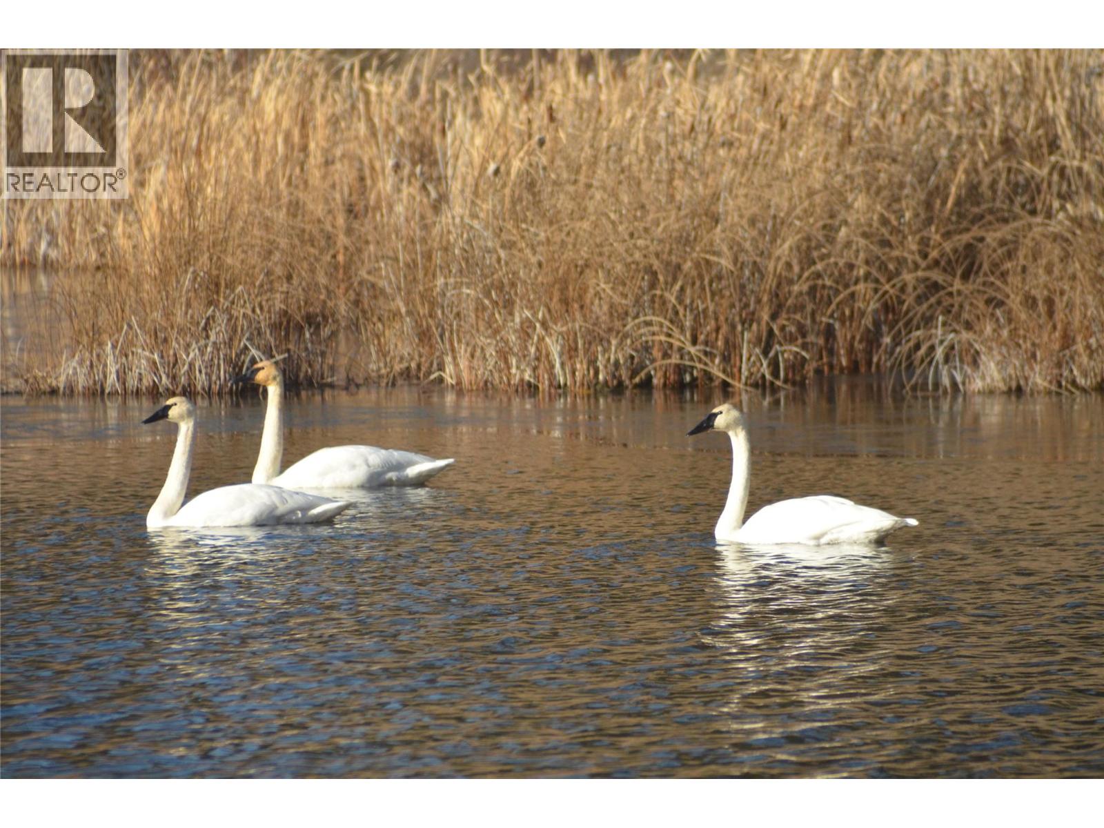  1888 Lakeview Drive, Kamloops