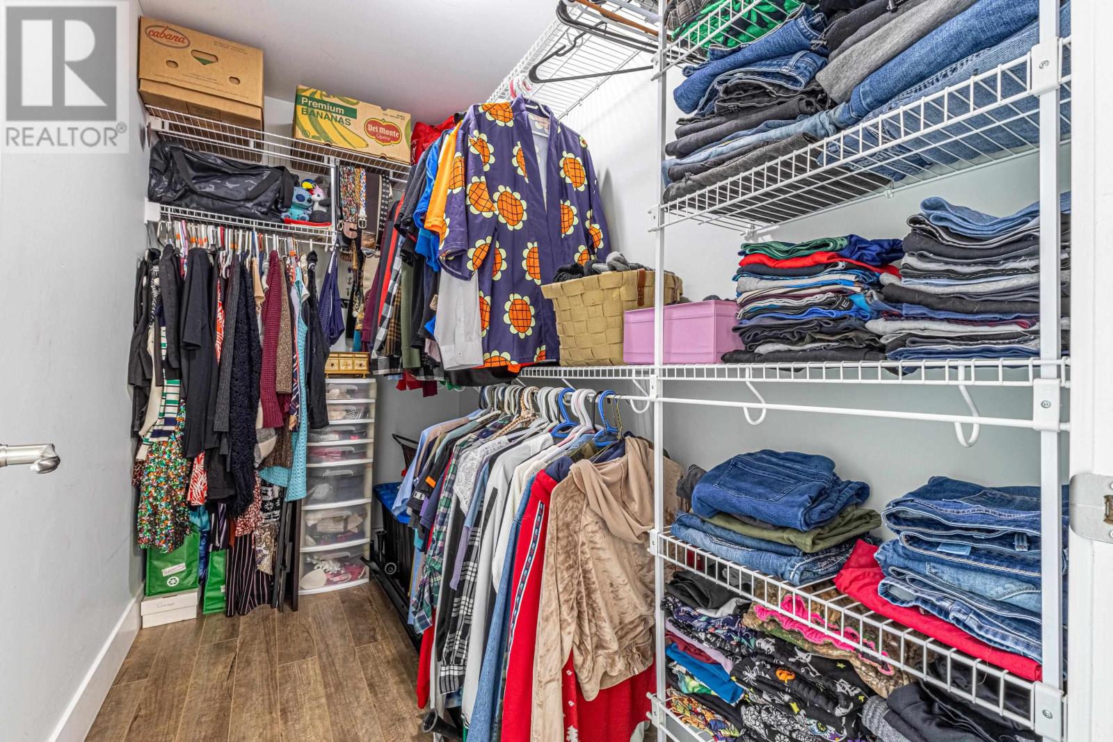 50B MACWILLIAMS ROAD - 15