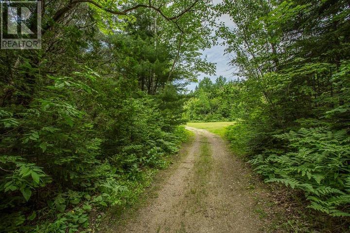 Highway 17 Sheppards LN