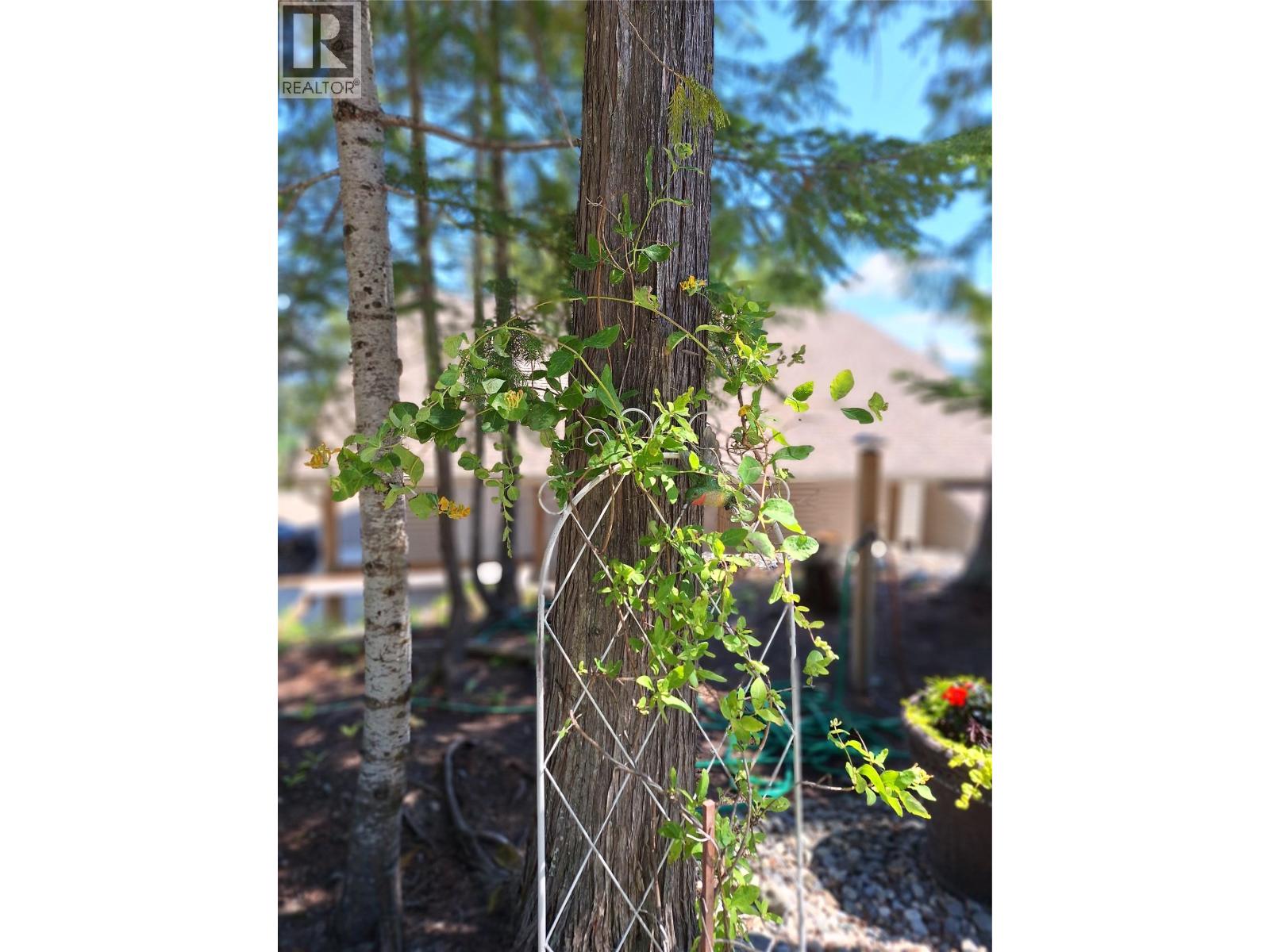 1406 Huckleberry Drive - 50