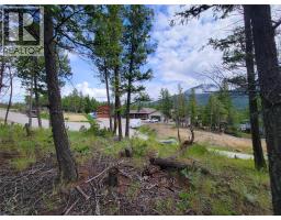 Lot 76 Copper Point Way, Windermere, BC V0B2L0 Photo 12