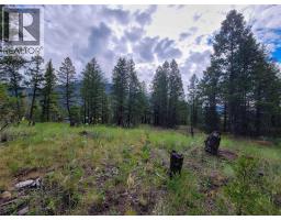 Lot 76 Copper Point Way, Windermere, BC V0B2L0 Photo 17