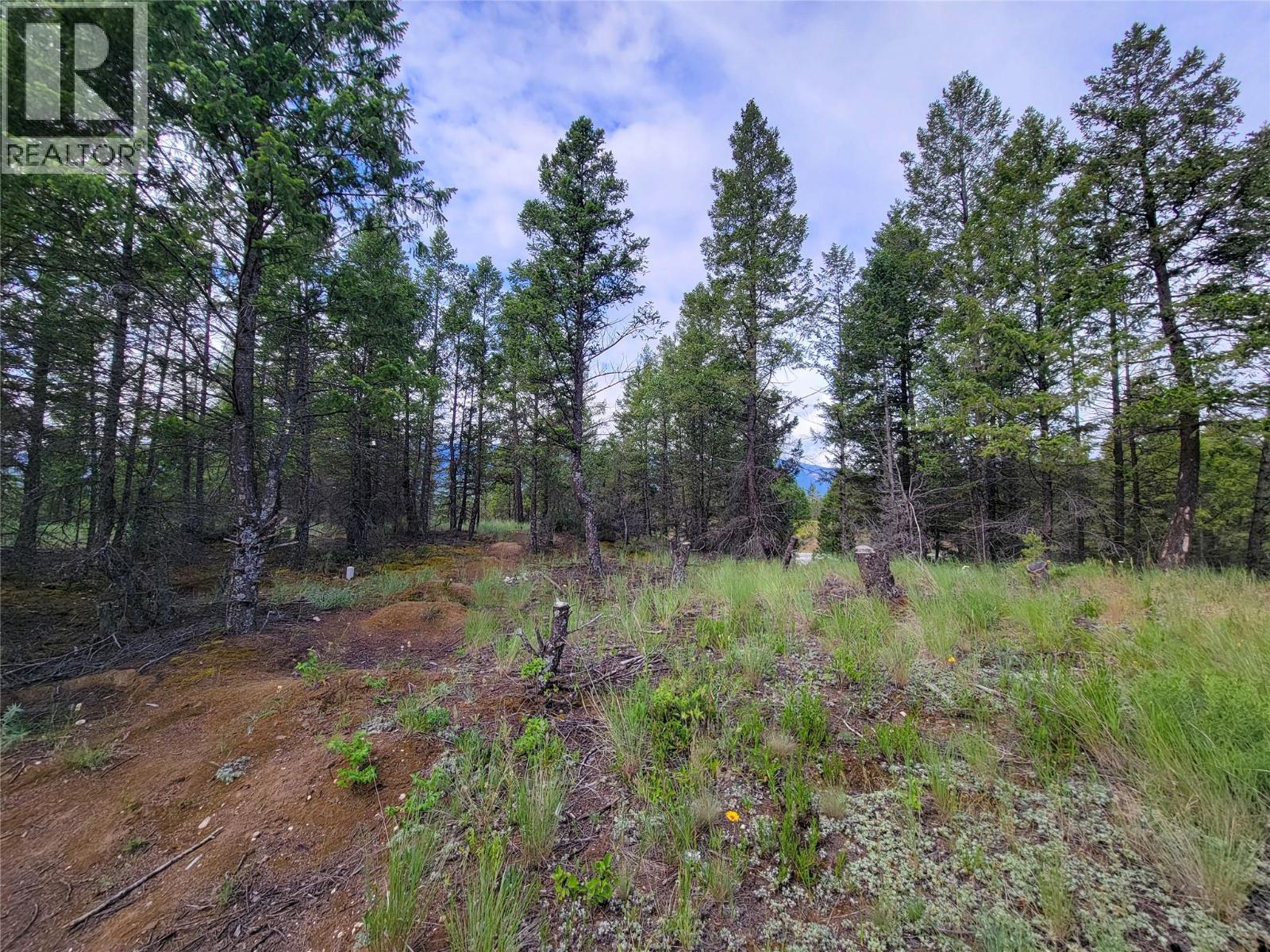  Lot 76 COPPER POINT Way, Windermere