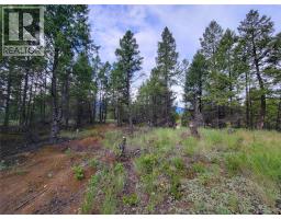 Lot 76 Copper Point Way, Windermere, BC V0B2L0 Photo 14