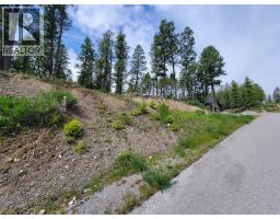 Lot 76 Copper Point Way, Windermere, BC V0B2L0 Photo 29
