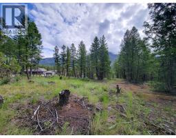 Lot 76 Copper Point Way, Windermere, BC V0B2L0 Photo 15