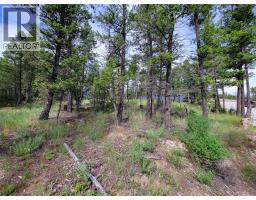 Lot 76 Copper Point Way, Windermere, BC V0B2L0 Photo 28
