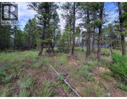 Lot 76 Copper Point Way, Windermere, BC V0B2L0 Photo 11