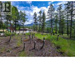 Lot 76 Copper Point Way, Windermere, BC V0B2L0 Photo 22