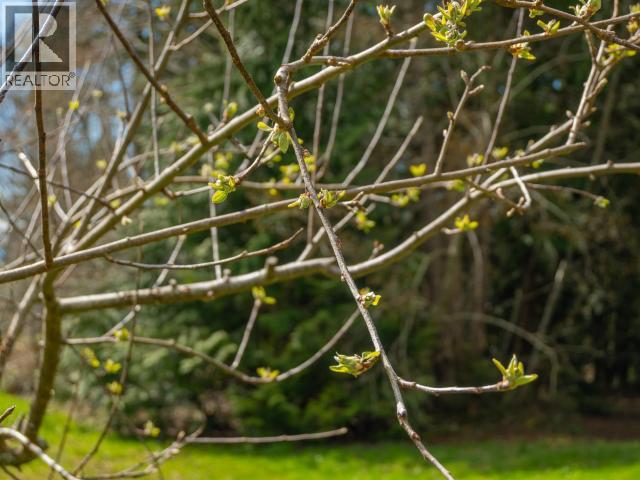 7615 SOUTHVIEW ROAD - 64