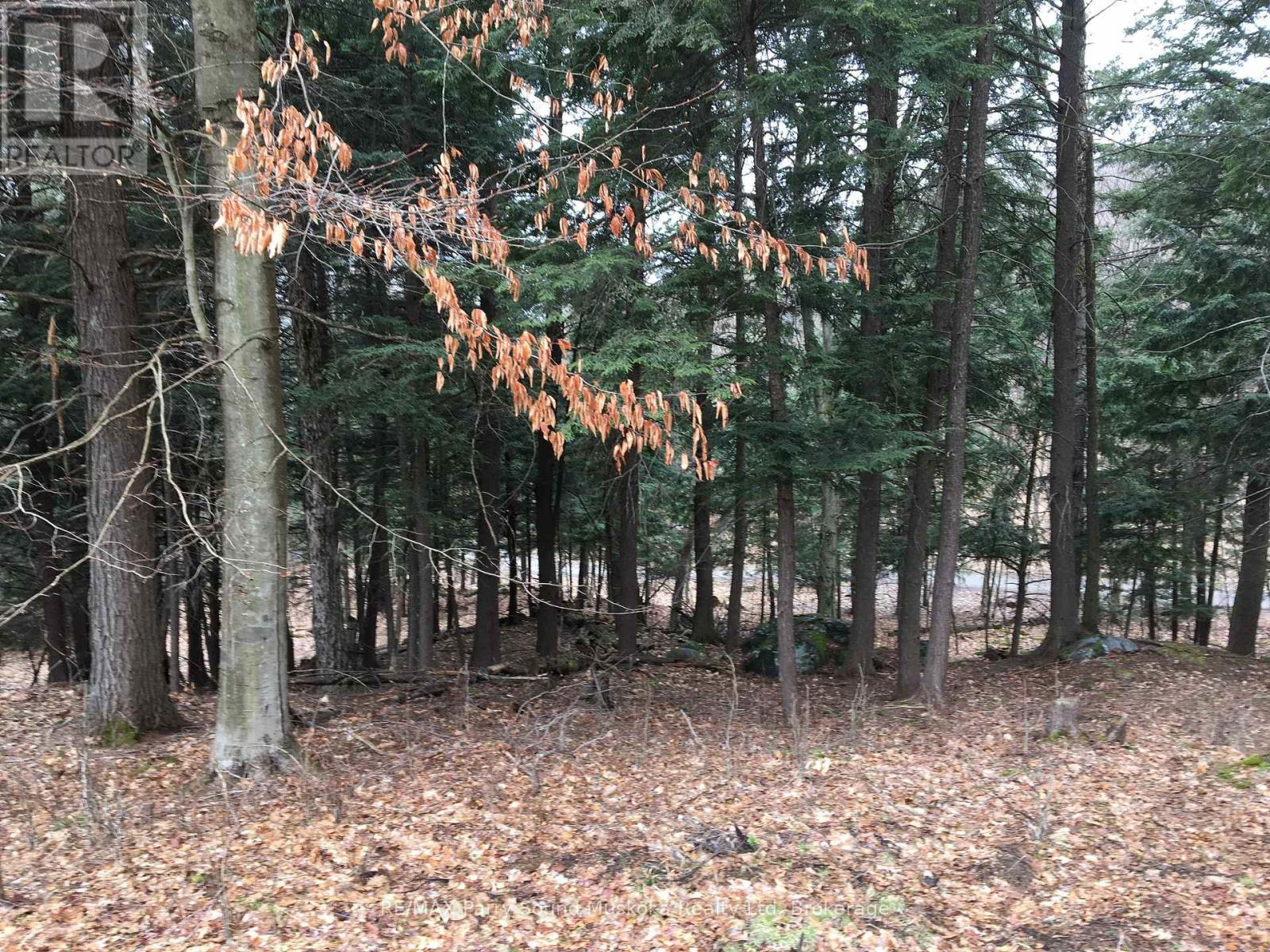 22 Gryffin Bluffs Lane — photo 22